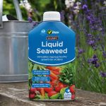 Organic Liquid Seaweed Fertiliser plant food