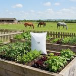horse manure blend compost near me