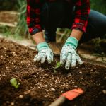 Horse manure compost near me