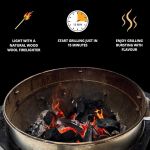 bbq charcoal