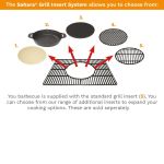 BBQ grill insert system