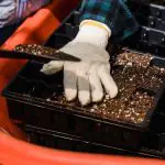 Vermiculate compost additive
