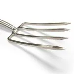 garden border fork