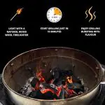 bbq charcoal