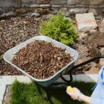 Bark Mulch