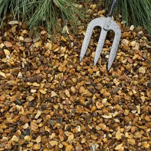 Golden gravel 