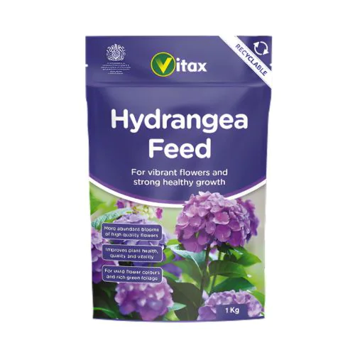 Hydrangea Feed
