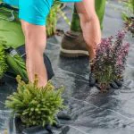 Heavy Duty Weed Control Ground Cover Membrane - 2m x 50m