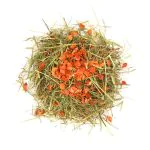 hay food for rabbits