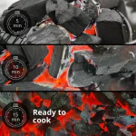 Birch Lumpwood Charcoal 10kg 4 Bag Deal