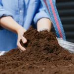 lawn dressing soil