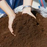 bulk garden topsoil