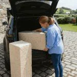 Wood shavings for pets